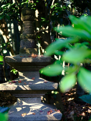 「鎌倉　報国寺　竹の庭を散策しました」_a0000029_17053100.jpg