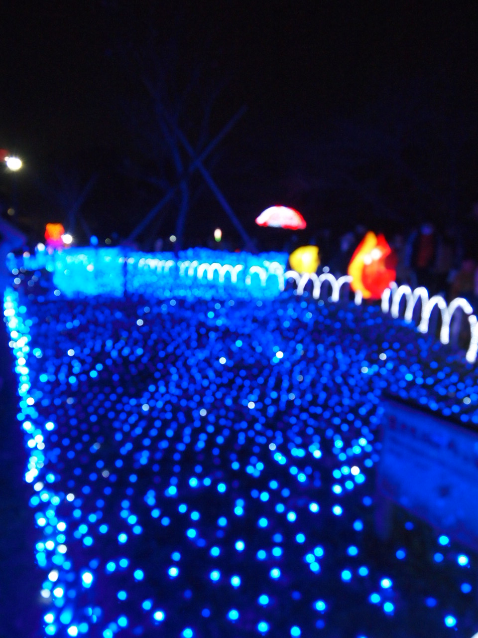 a0214329_1630294.jpg