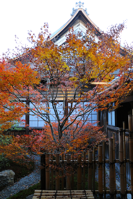 紅葉の京都2017 －東寺 お坊さまと巡る秋の特別拝観（観智院）－ _b0169330_064969.jpg