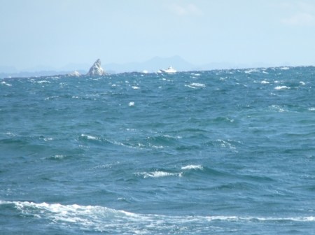 冬の湘南海岸は.._b0137932_13435609.jpg