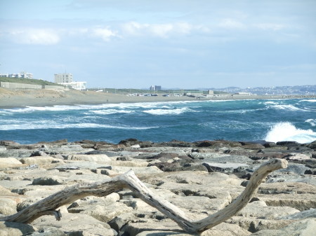 冬の湘南海岸は.._b0137932_13442427.jpg