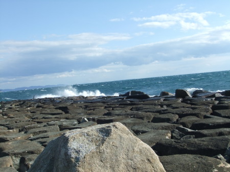 冬の湘南海岸は.._b0137932_14242082.jpg