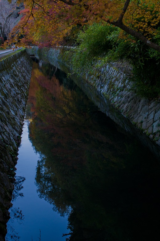 e0363038_20375722.jpg