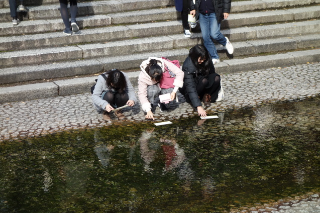 f0287038_20501156.jpg