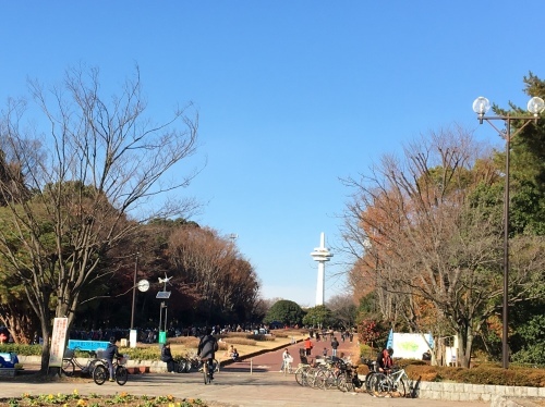 所沢から航空公園まで歩く_b0330040_16463207.jpeg