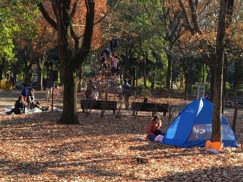 b0330040_16492270.jpeg