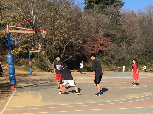 所沢から航空公園まで歩く_b0330040_17150531.jpeg