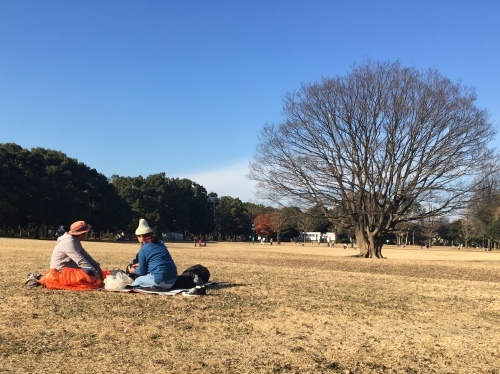 所沢から航空公園まで歩く_b0330040_17251747.jpeg