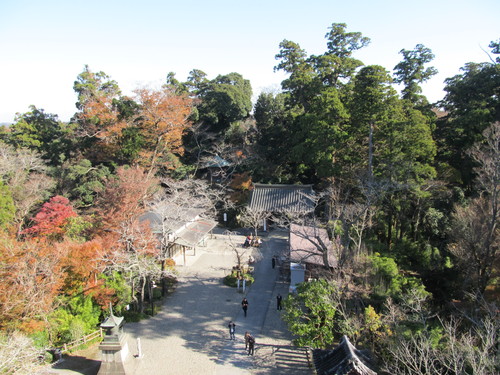 d0338441_334780.jpg