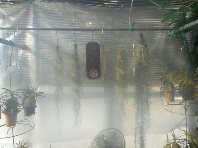 a0353447_12343207.jpg