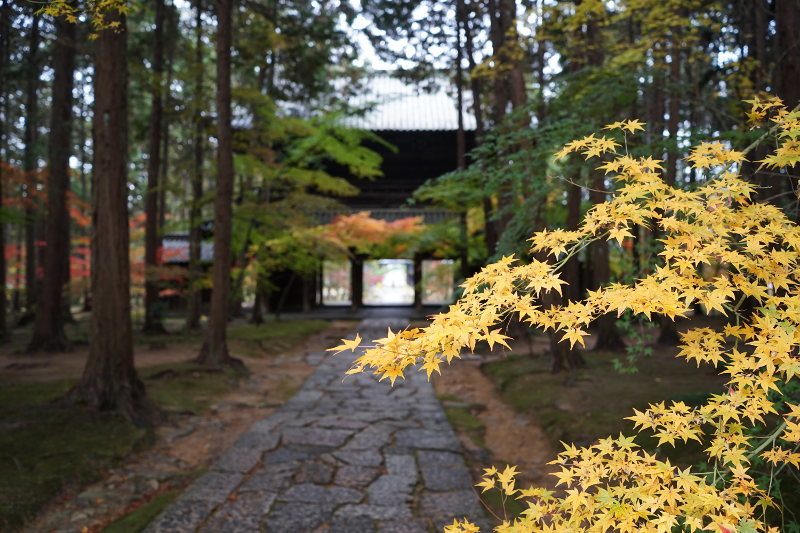 岡山、鳥取旅行(6) 曹源寺_a0154448_22283173.jpg