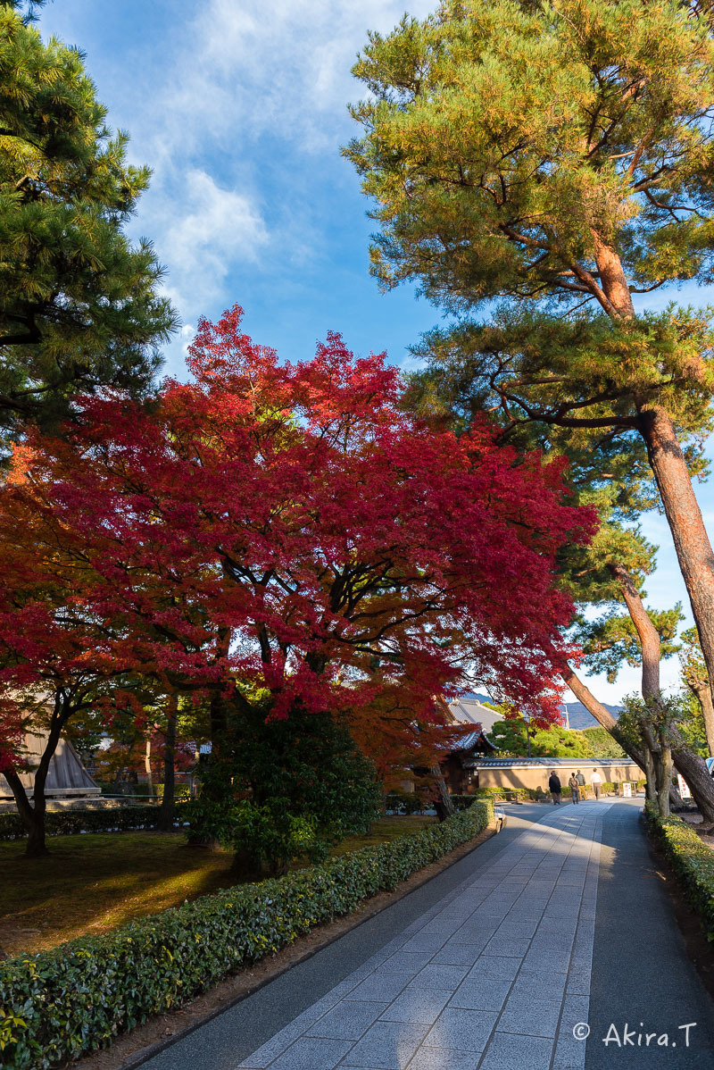 京都の紅葉 2017 〜15〜_f0152550_17115098.jpg