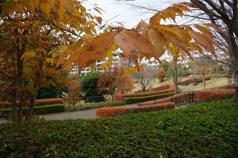 a0331055_11161238.jpg