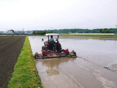 熊本の美味しいお米大好評発売中!その3 七城米 とことん手をかけて育てる匠のこだわり紹介!_a0254656_17331553.jpg