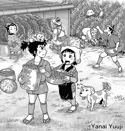 仕事絵 天照大神 天岩戸伝説 と 茶畑 イラスト追加 きままにマンガみち 仕事絵 天照大神 天岩戸伝説 と 茶畑 イラスト追加 きままにマンガみち