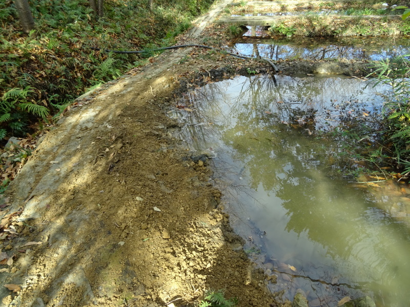c0108460_20103910.jpg