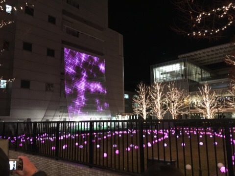 京都ローム イルミネーション_f0363168_07434050.jpg
