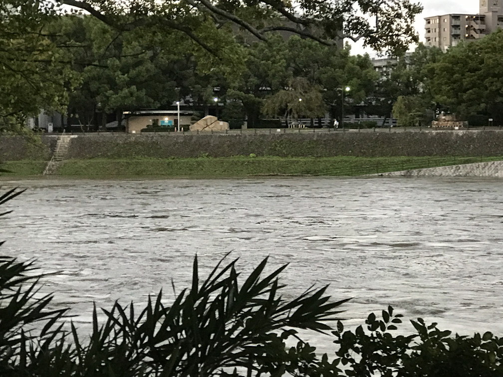 台風の後_b0184877_17190447.jpg