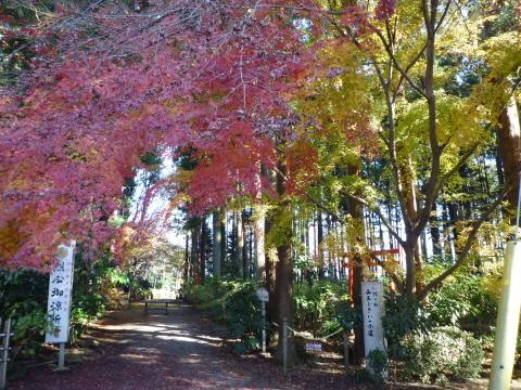 ミニベロで年越しの大祓いを兼ねポタリングしてきました。。。_e0268680_19325356.jpg