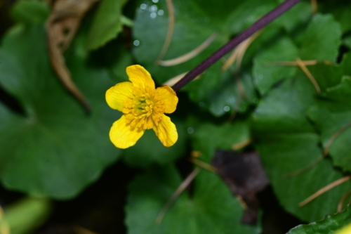 f0348480_15034000.jpg