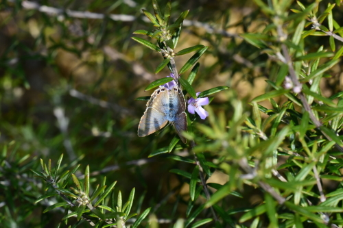 f0348480_15184328.jpg