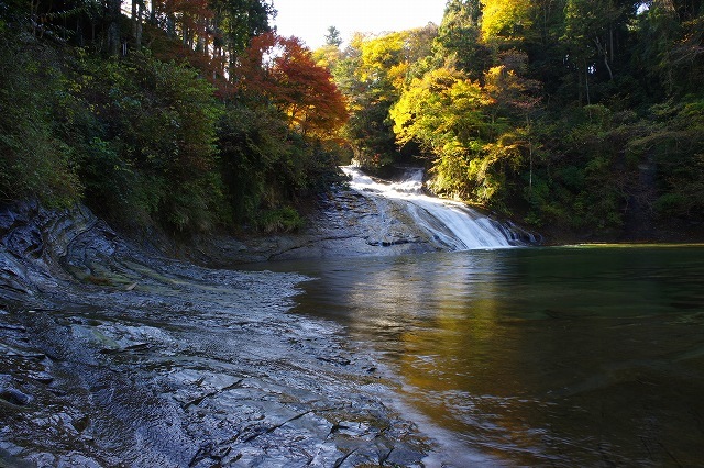 c0324983_00425599.jpg