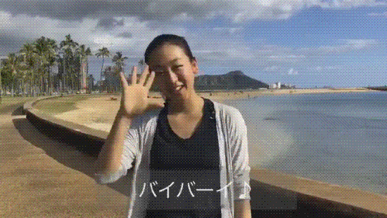 e0199691_23251736.gif