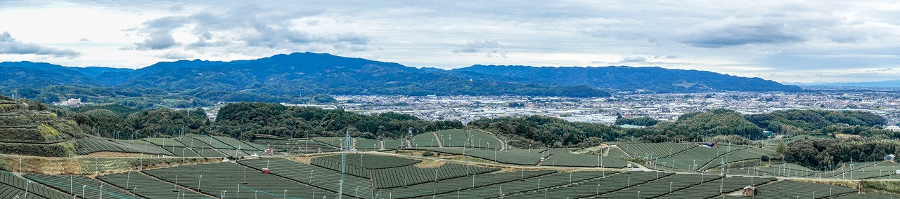 e0176993_07402549.jpg