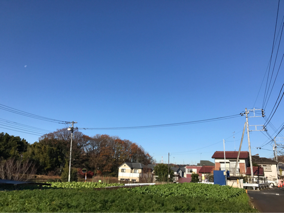 d0135694_11534308.jpg