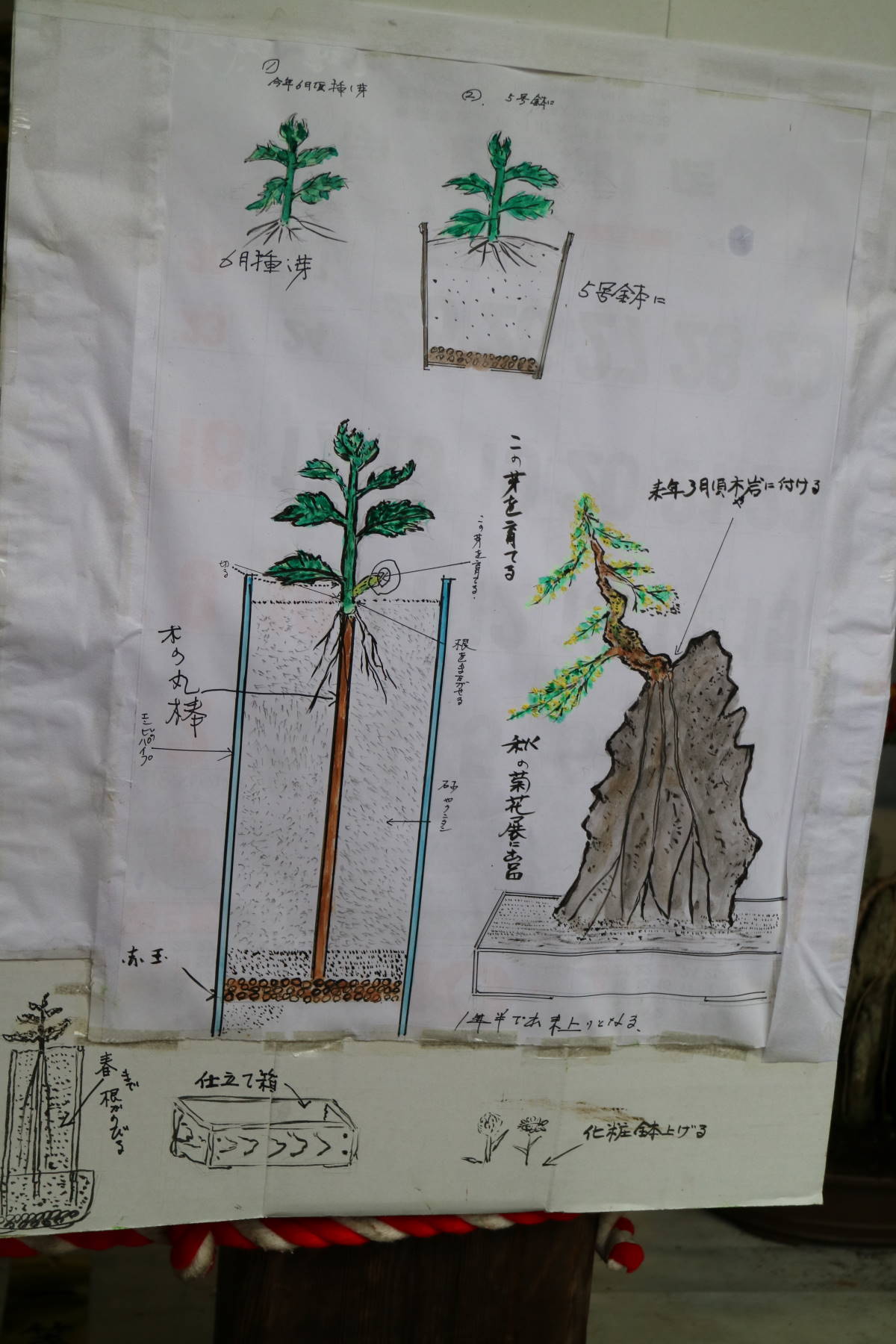 f0075595_00485138.jpg