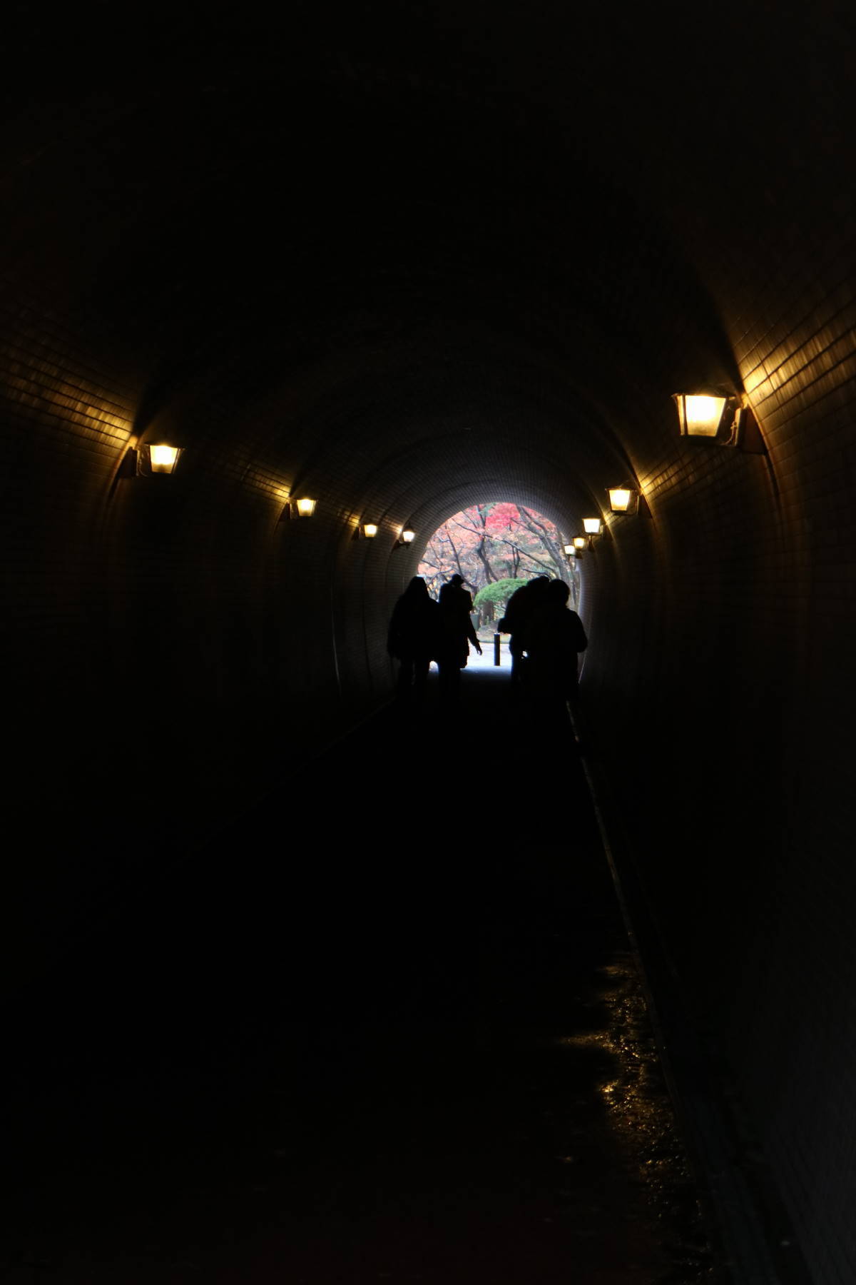 f0075595_01474597.jpg