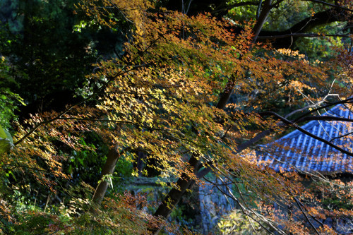 e0366896_08173556.jpg
