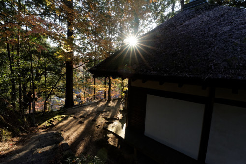 弘川寺　再び_e0366896_08174014.jpg