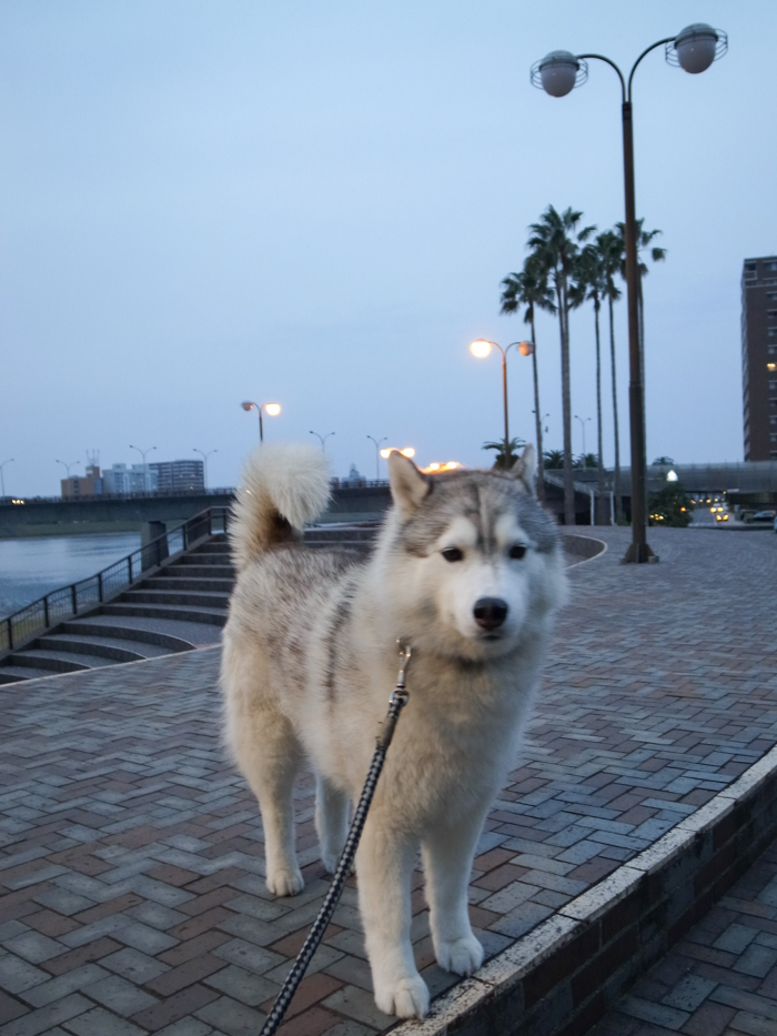 c0049299_21222484.jpg