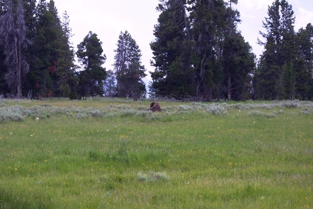 c0062603_21345109.jpg