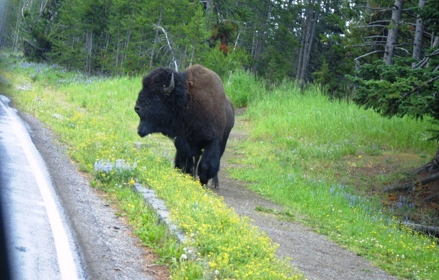 c0062603_21370045.jpg