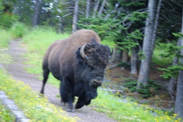 c0062603_21374876.jpg