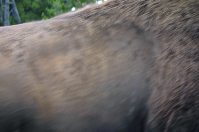 c0062603_21380500.jpg