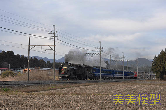 日光軌道線色バス＆クリスマス「大樹」_d0110009_11102135.jpg