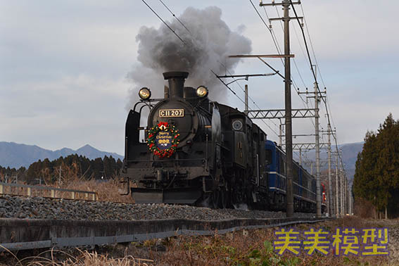 日光軌道線色バス＆クリスマス「大樹」_d0110009_11112632.jpg