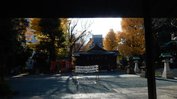 渋谷区の金王八幡宮…2017/12/10_f0231709_00221794.jpg