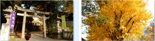 f0231709_00370791.gif