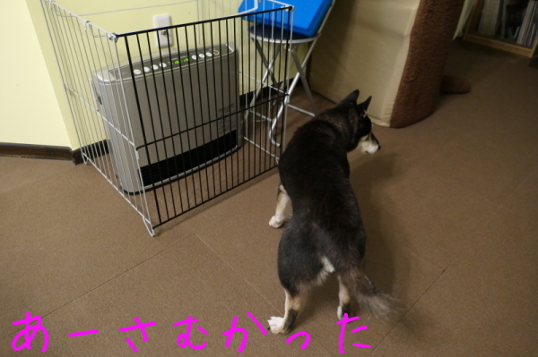 f0369014_13582381.jpg