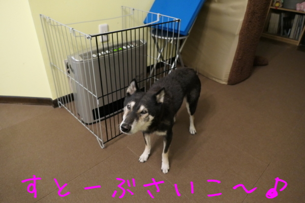 f0369014_13590725.jpg