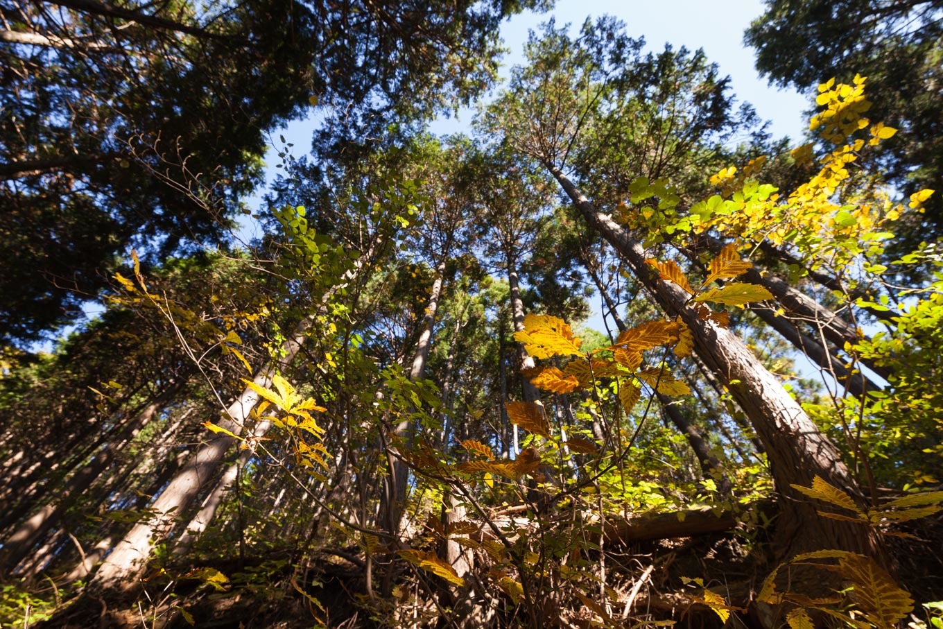 c0369219_22495358.jpg