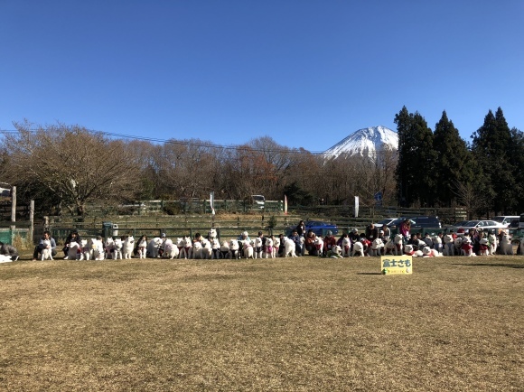a0323521_18151715.jpeg