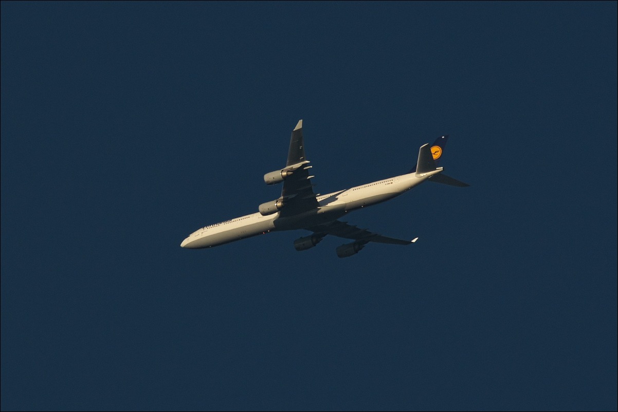 d0137627_23584175.jpg