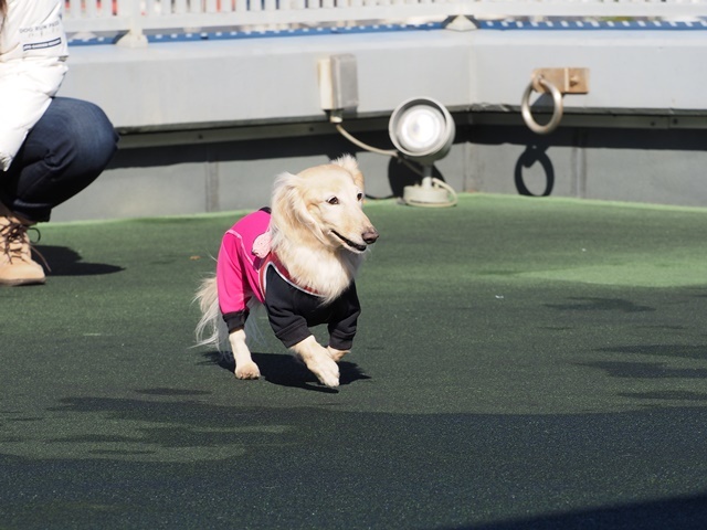 c0117831_15162590.jpg