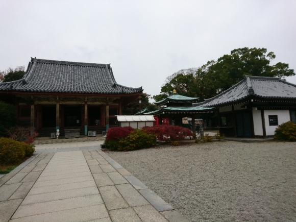e0166032_20362528.jpg