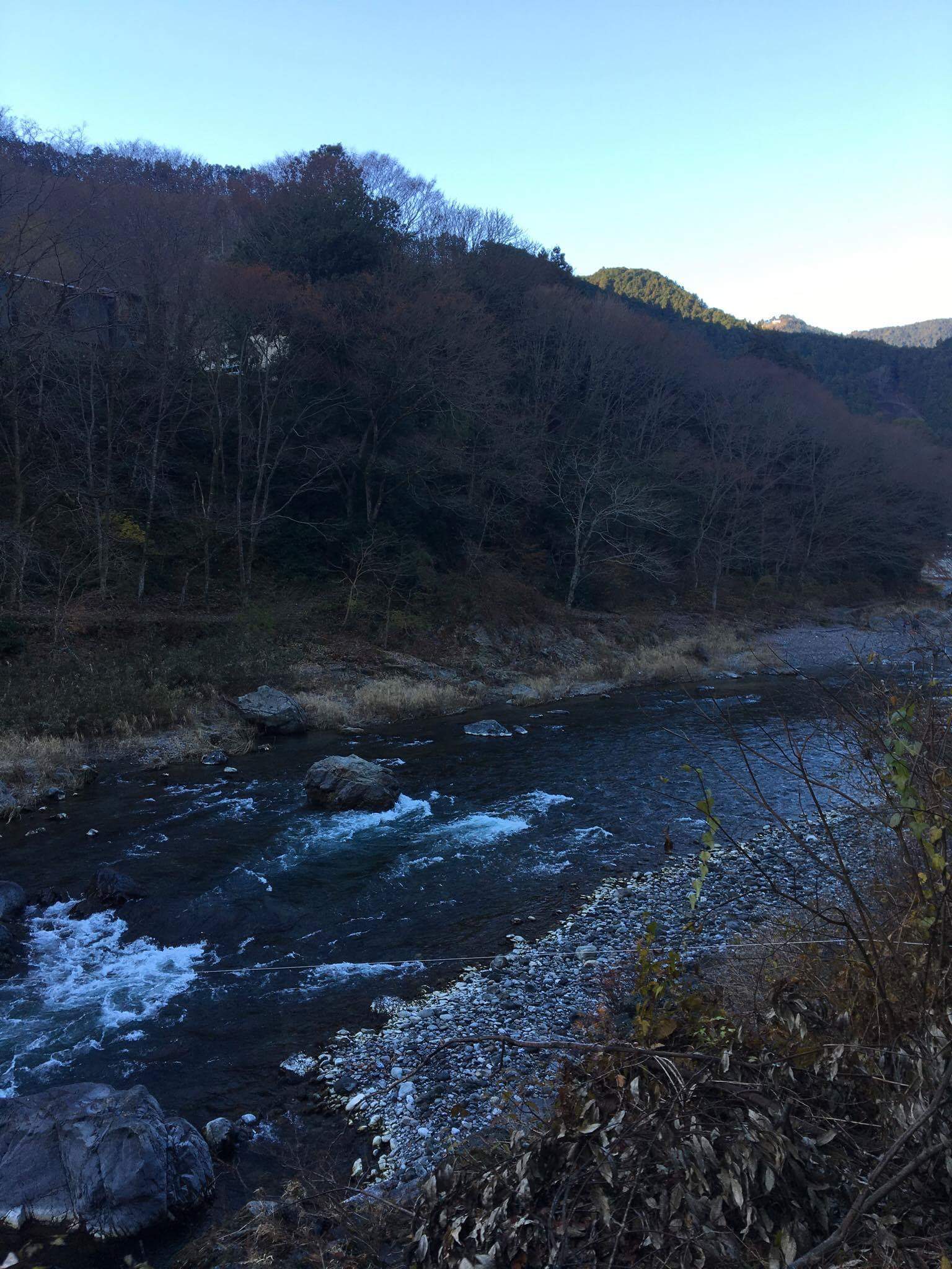 d0155634_11231069.jpeg